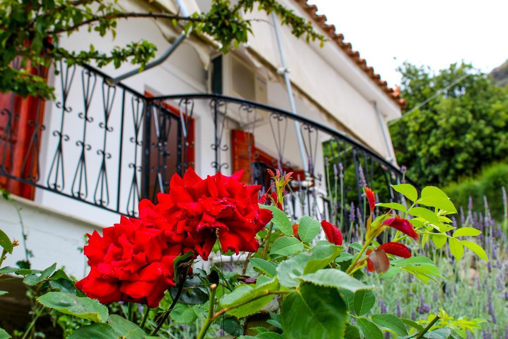 Guesthouse Lykourgos Mavrommation Екстер'єр фото