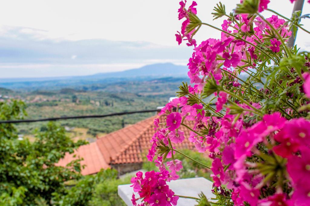 Guesthouse Lykourgos Mavrommation Екстер'єр фото